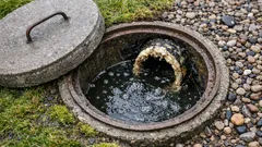 Diskhon rinner långsamt? Kolla den bortglömda brunnen på tomten innan du river i köket