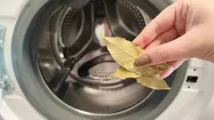 Mormors hemlighet: lagerblad hjälper till att få tvätten fräsch igen utan kemikalier