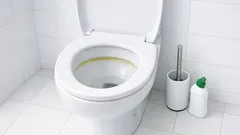 Så håller du toaletten vit med en 1-minutsrutin som stoppar gul beläggning